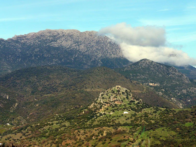 Monte de Higuerón de Tavizna Imagen